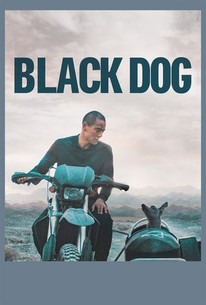 Black Dog (2024)