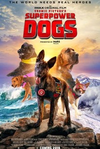 Watch trailer for Superpower Dogs