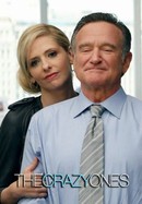 The Crazy Ones poster image