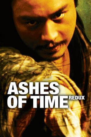 Ashes of Time Redux poster