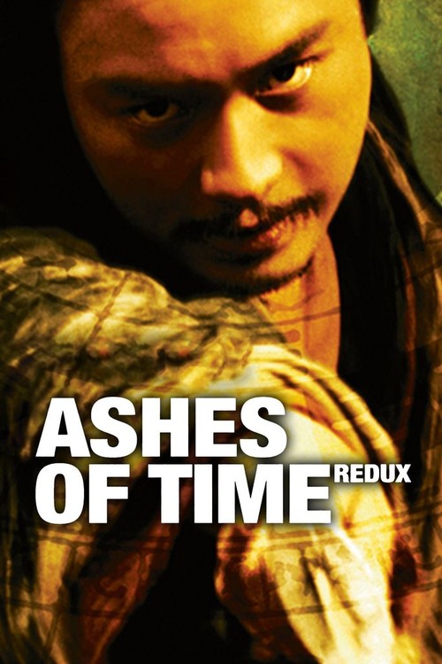 Ashes of Time Redux poster