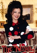 The Nanny poster image
