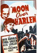 Moon Over Harlem poster image