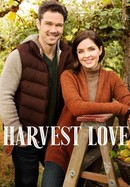 Harvest Love poster image