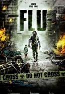 Flu poster image