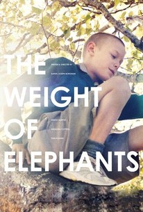 Watch trailer for The Weight of Elephants