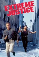 Extreme Justice poster image