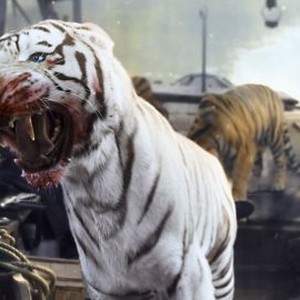 Roar: Tigers of the Sundarbans (2014) photo 15