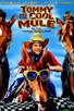 Poster for