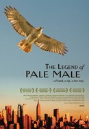 The Legend of Pale Male poster image