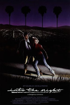 Into the Night poster