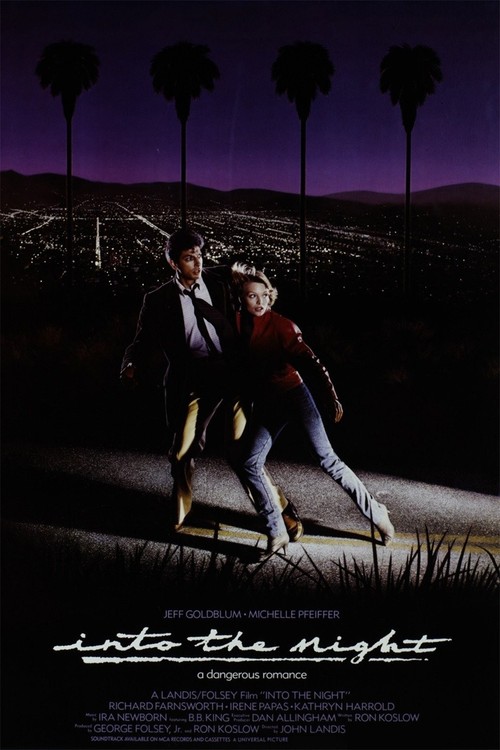 Into the Night poster