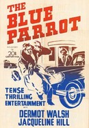 The Blue Parrot poster image