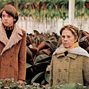HAROLD AND MAUDE, Bud Cort, Ruth Gordon, 1971