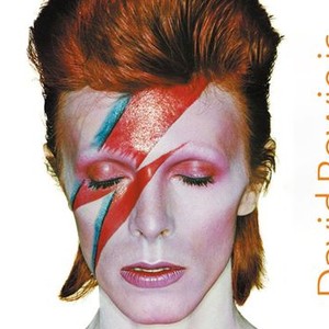 David Bowie Is photo 1