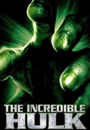 The Incredible Hulk poster image
