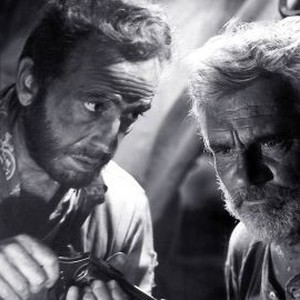 The Treasure of the Sierra Madre (1948) photo 20