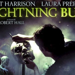 Lightning Bug photo 5