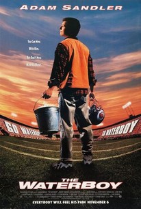 Poster for The Waterboy