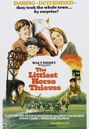 The Littlest Horse Thieves poster image