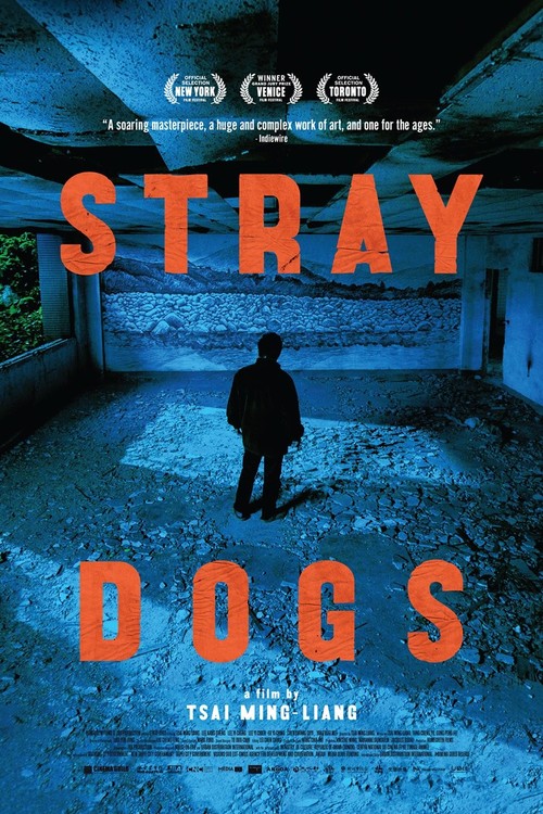 Stray Dogs poster
