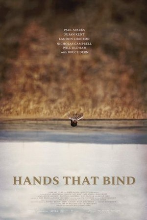 Hands That Bind poster