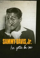 Sammy Davis, Jr.: I've Gotta Be Me poster image