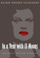 In a Year of 13 Moons poster image