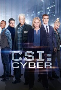 CSI: Cyber: Season 2 poster image