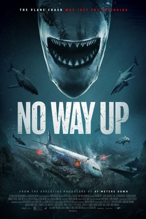 No Way Up poster