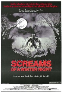 Poster for Screams of a Winter Night