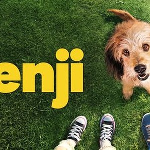 Benji rotten tomatoes 2025