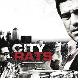 City Rats photo 1