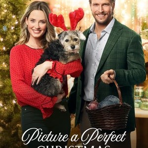 Watch picture a online perfect christmas