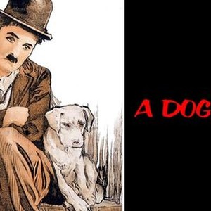 A dog's life online rotten tomatoes