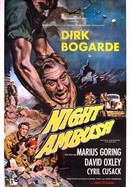 Night Ambush poster image