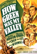 How Green Was My Valley poster image
