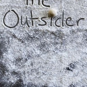 The Outsider (2017) photo 9