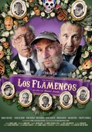 Los Flamencos poster image