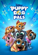 Puppy Dog Pals poster image