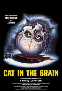 A Cat in the Brain - Rotten Tomatoes