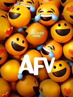 Afv funny videos 2018 store