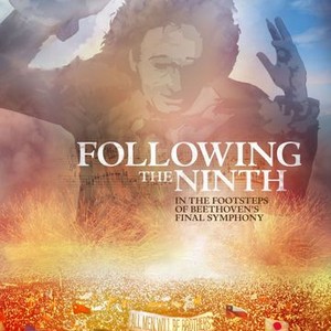 Following the Ninth: In the Footsteps of Beethoven's Final Symphony (2011) photo 15