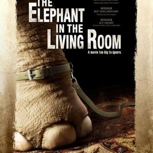 The Elephant In The Living Room Pictures Rotten Tomatoes