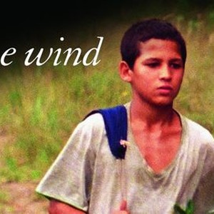 "Just the Wind photo 8"
