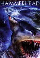 Hammerhead: Shark Frenzy poster image