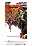 Sunflower poster image
