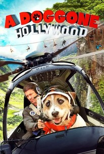 Watch trailer for A Doggone Hollywood