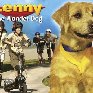 Lenny the Wonder Dog photo 5