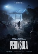 Train to Busan Presents: Peninsula poster image